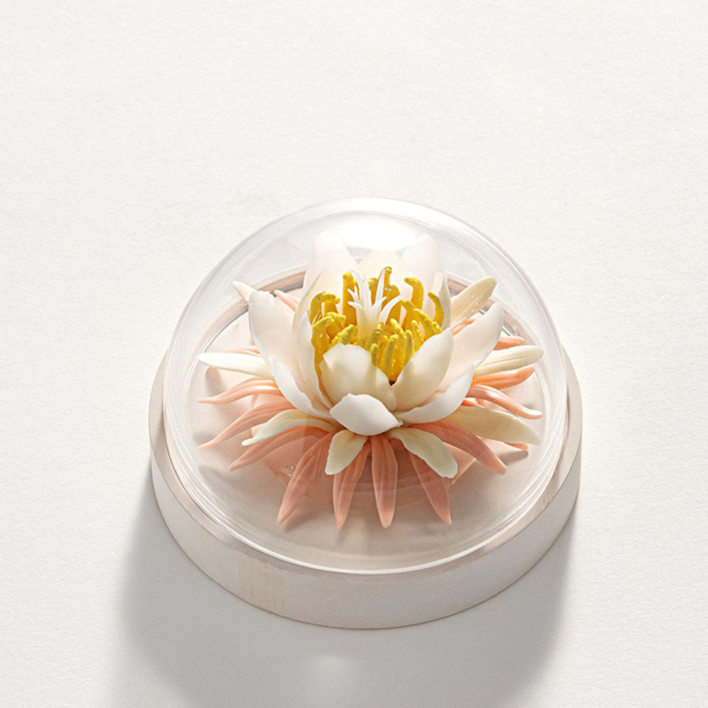 Moonlight Blossom Ceramic Diffuser Gift Set