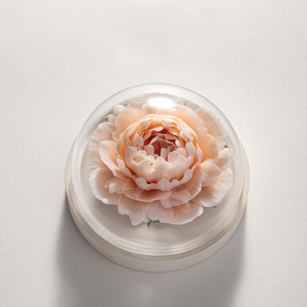 Moonlight Blossom Ceramic Diffuser Gift Set