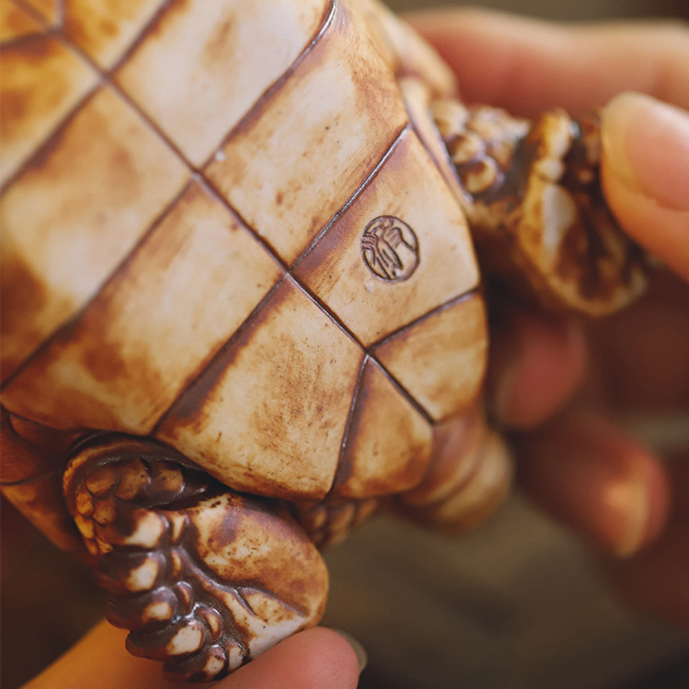 Ceramic Feng Shui Dragon Turtle