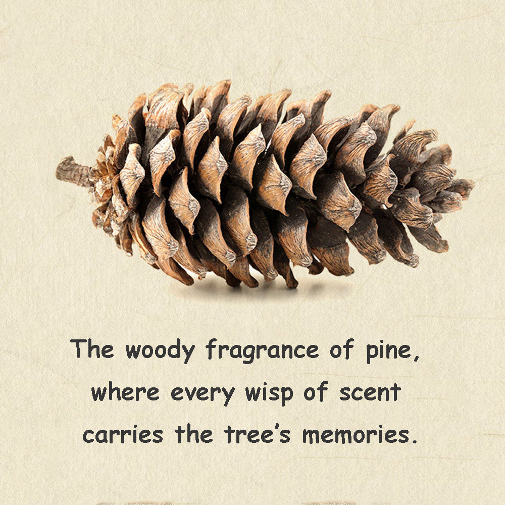 Pine Backflow Incense