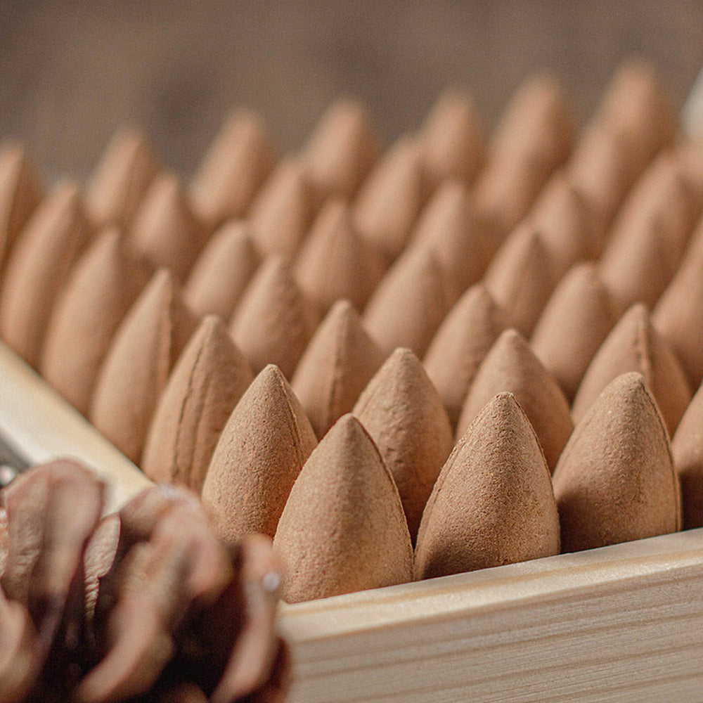 Pine Backflow Incense