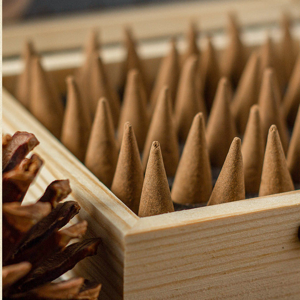 Pine Cone Cone Incense