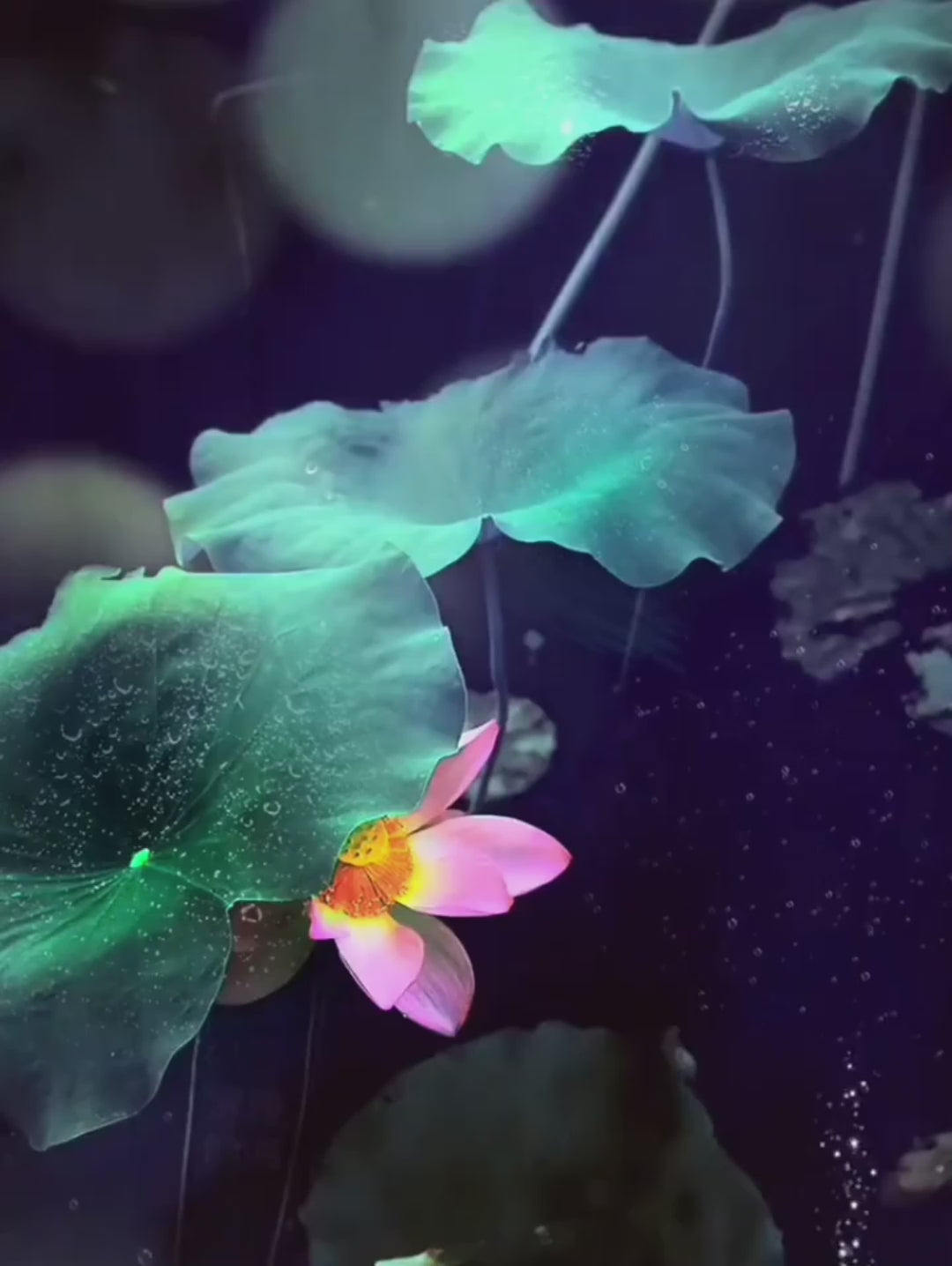 Lotus Seedpot Wooden Incense Burner