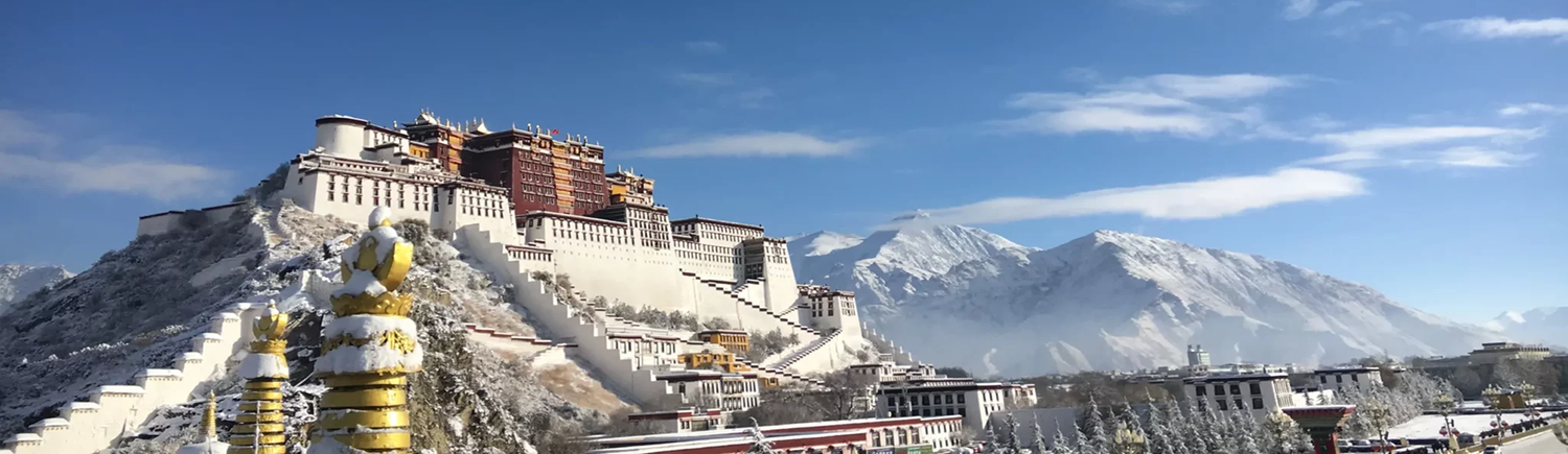 Organic Tibetan Incense