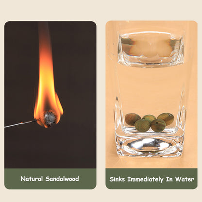 Green Sandalwood Silver Pixiu Bracelet