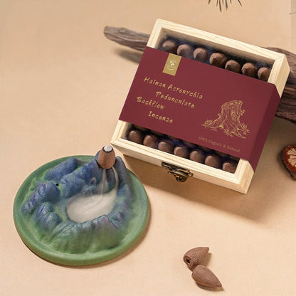 Hainan Acronychia Pedunculate (Jiang Zhen Xiang) Backflow Incense