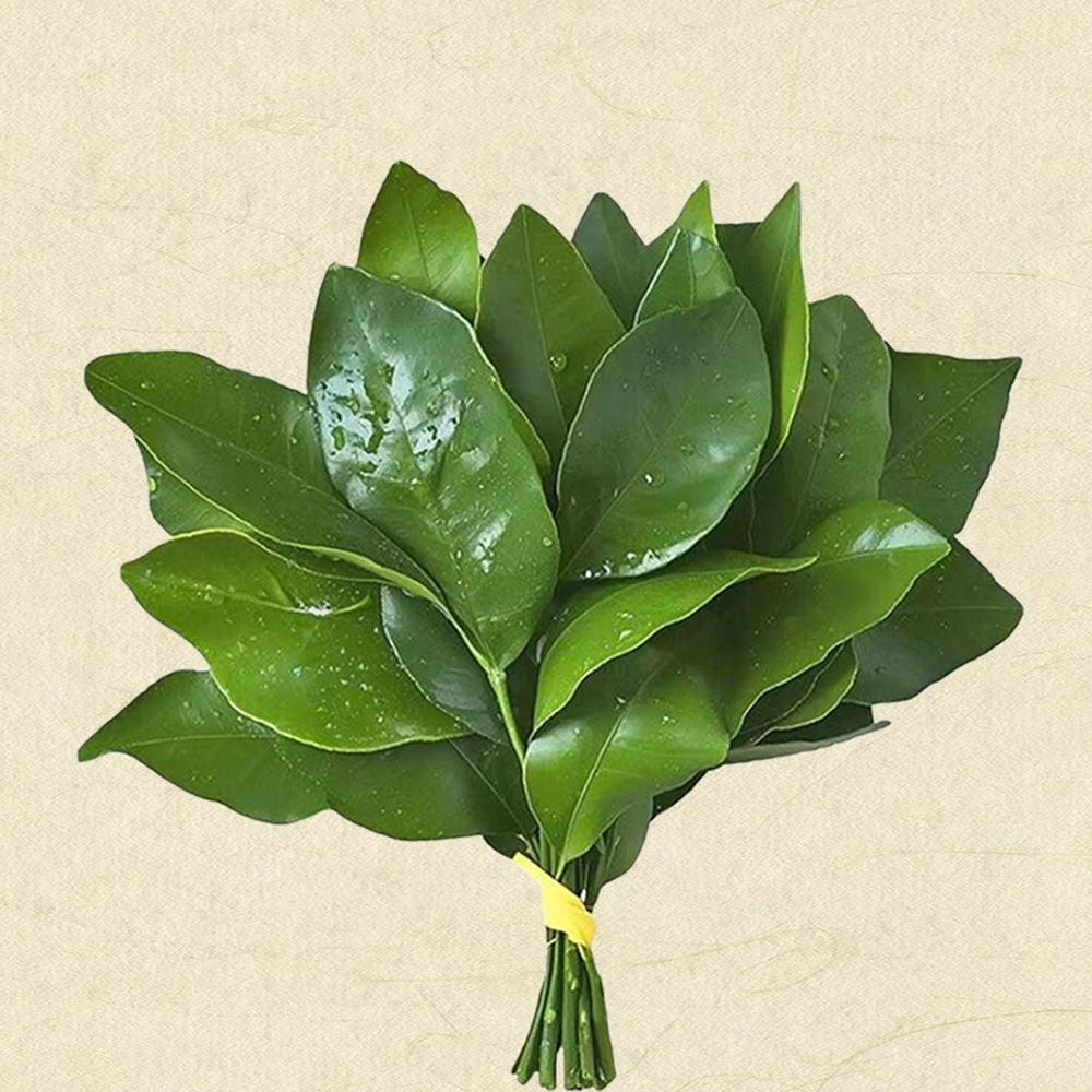 Good Luck Backflow Incense