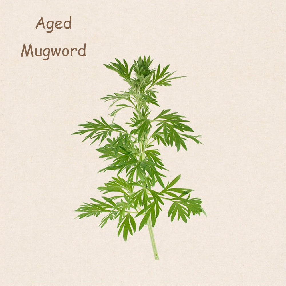 Aged Mugwort Cone Incense – Lucky Incense