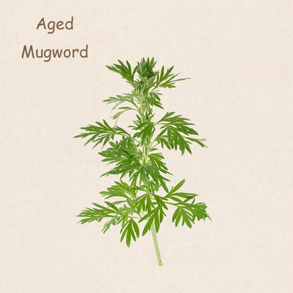 Aged Mugwort Cone Incense