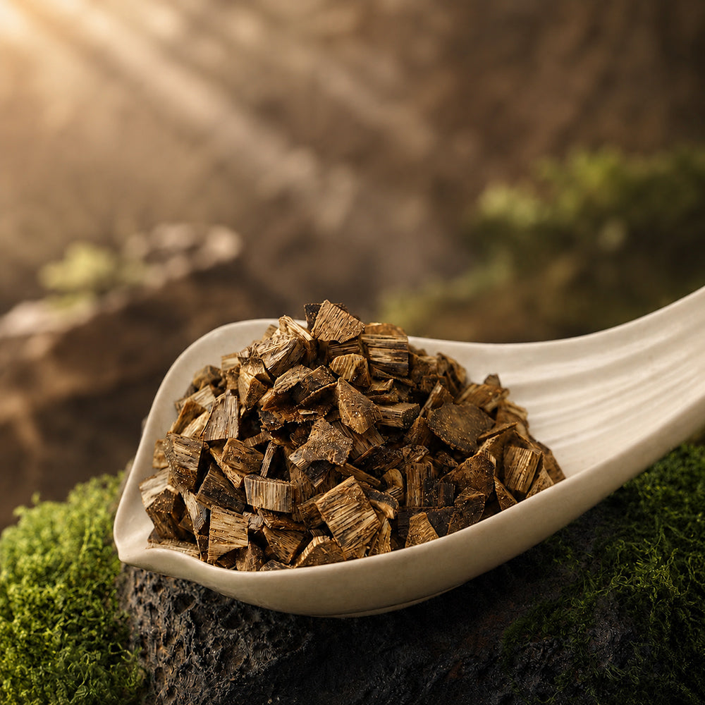 High-Oil Hainan Kyara Agarwood Chips