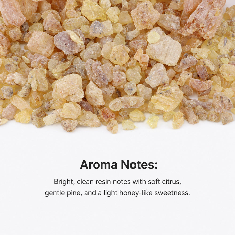 Manila Copal Resin