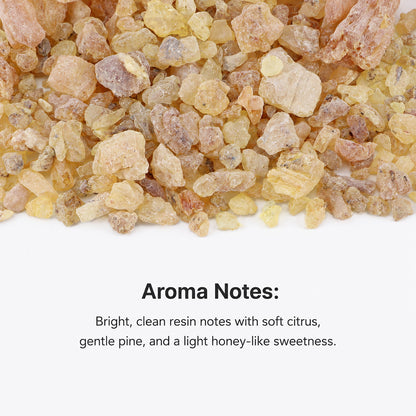 Manila Copal Resin