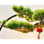 Large Rockery Water Fountain Waterfall With Fish Pond