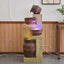 European Style Courtyard Indoor Waterfall