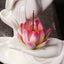 Buddha's Hands Lotus Backflow Incense Burner