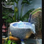 Feng Shui Kugel With Stone Fountain