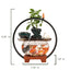 Creative Water Fountain With Light Circle And Fish Tank