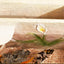 European Style Water Fountain With Fish Tank