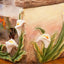 European Style Water Fountain With Fish Tank