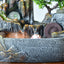 Rockery Running Water Ornament Lucky Fountain