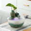 Bottles Water Fountain With Fish Tank