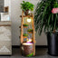 Lotus Flower And Leaves Indoor Waterfall