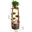 Lotus Flower And Leaves Indoor Waterfall